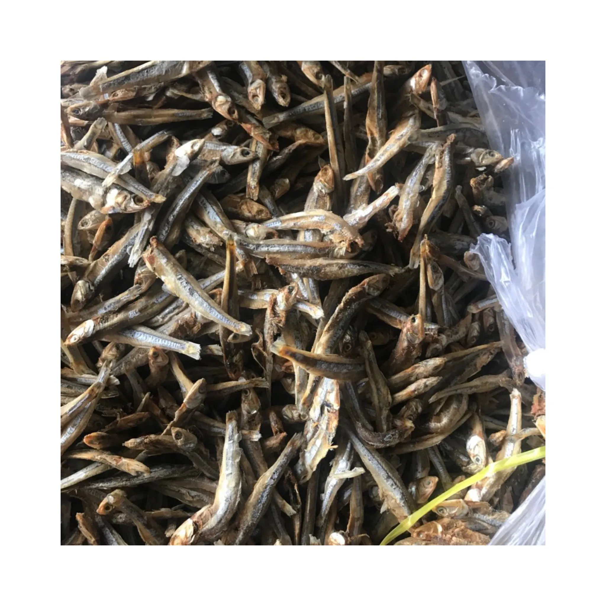 DRIED ANCHOVY FROM VIETNAM PREMIUM SEAFOOD - DRY SEAFOOD / HIGH QUALITY AND BEST PRICE MS ELYSIA 0084789310321