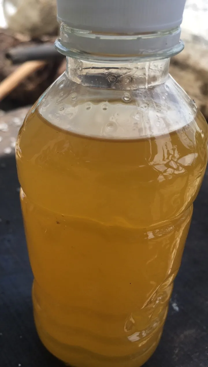 POLYUNSATURARATED CRUDE FISH OIL HIGH QUALITY FROM VIETNAM