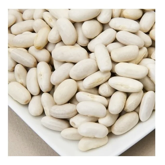 Wholesale Supplier Of Bulk Fresh Stock of Organic Dried White Kidney Beans
