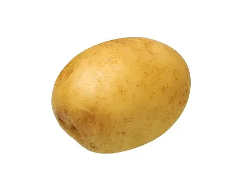Competitive Price 100% Good and High Quality Organic Fresh Yellow Potatoes Exporter our company