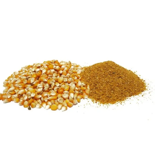 DDGS Animal Feed For Sale For Best Price Distillers Dried Grains Solubles