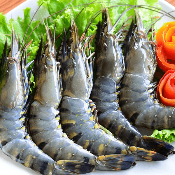 Best Seller Frozen Vietnam Premium Quality Customized Packing In Bulk Raw/Cooked HOSO Black Tiger Shrimp