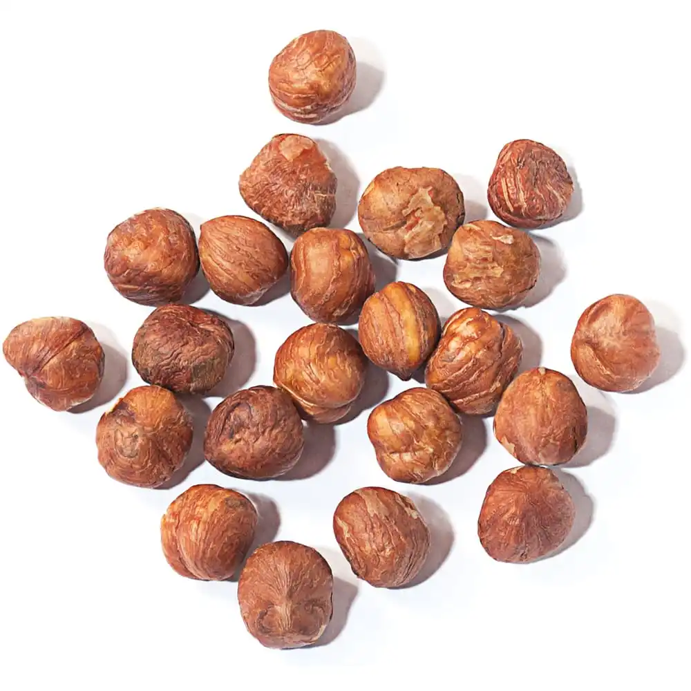 Raw Hazelnuts in Shell Raw Roasted Natural Style Packaging Food Natural Best Price Wholesale From USA