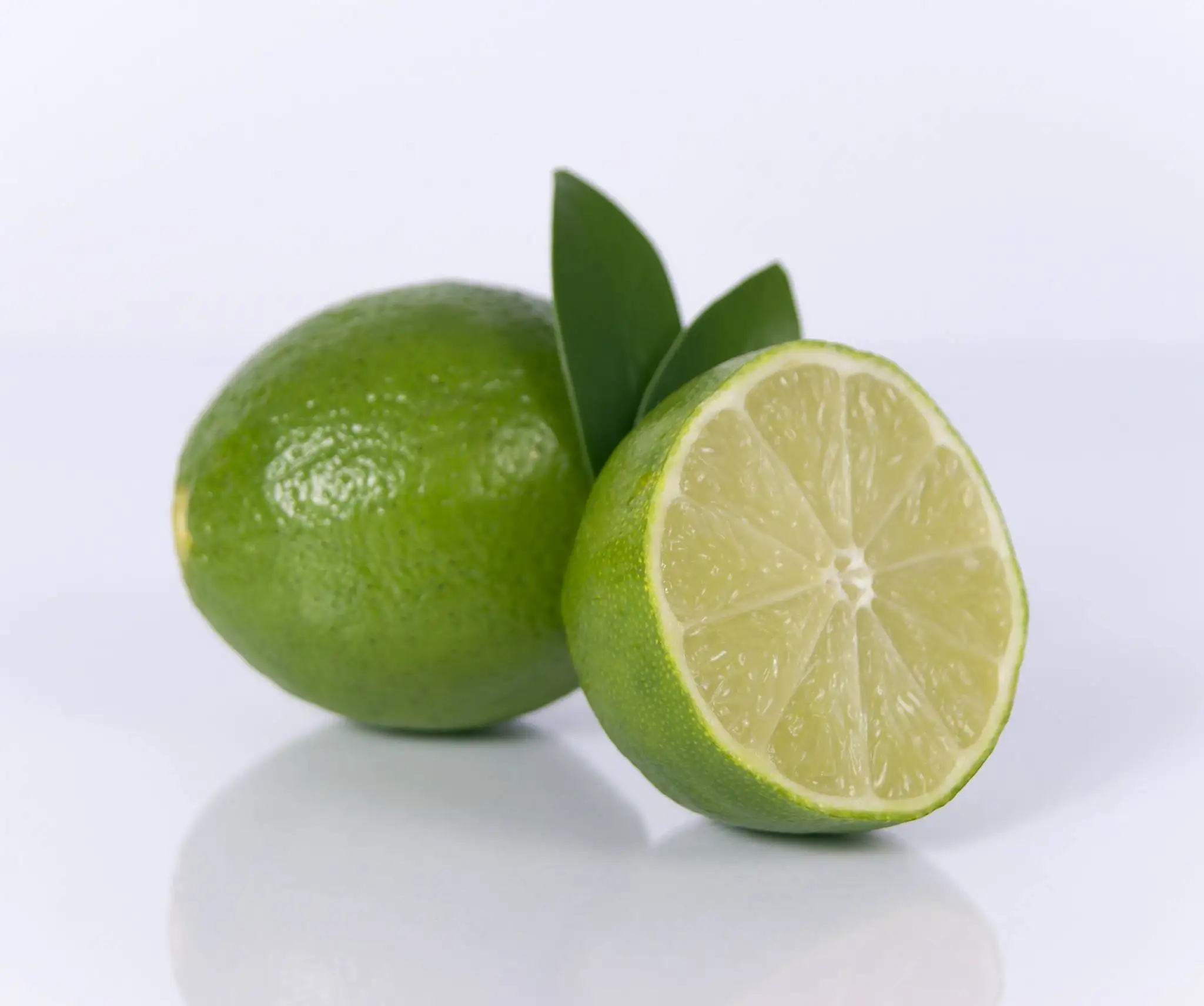 Wholesale Fresh Premium Persian Lime - Top Quality, Best Price, Directly From Producers South Africa