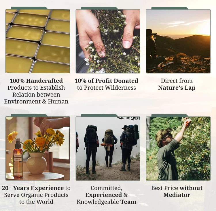 USA Origin Supplier Selling  Basic Cleaning Liquid Body Soap Sierra Nevada Smell Sierra Forest Body Wash Bulk 1 Gallon for Sale