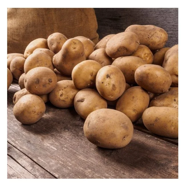Bulk Stock Available Of Fresh Vegetable Potatoes At Wholesale Prices
