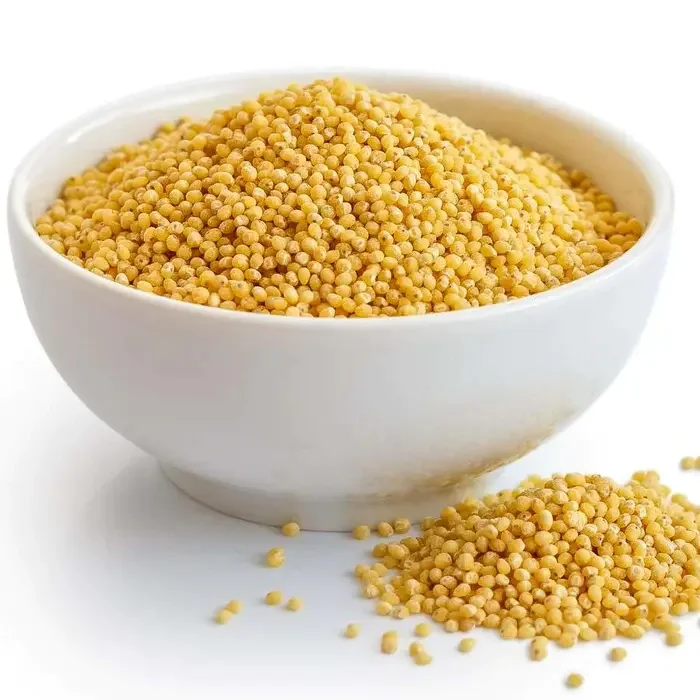 Indian Yellow Millet for Bird Feed from India