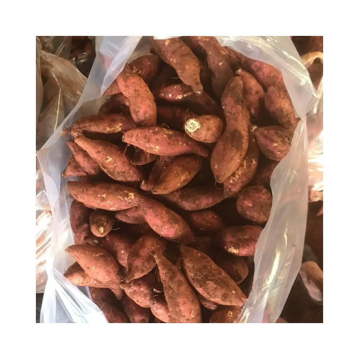 Best Price Organic Fresh Sweet Potato - High-Quality, Export Standard, Ideal for Cooking, Bulk Sale, Ready for Export
