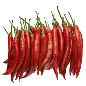 100% Natural Fresh Chili Peppers High Quality Chili Peppers at Wholesale Price from Manufacturer