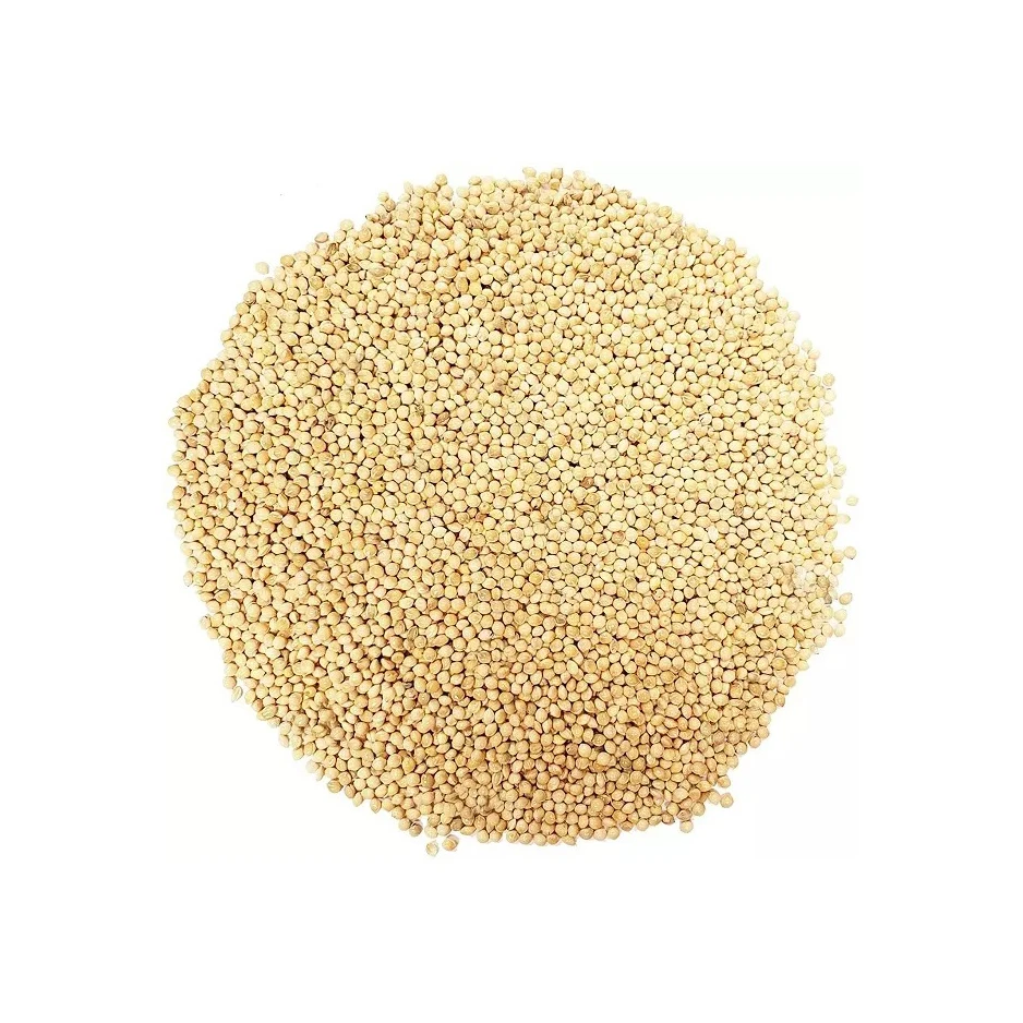Crop Grain Dried Hulled Yellow Millet For Bird Feed