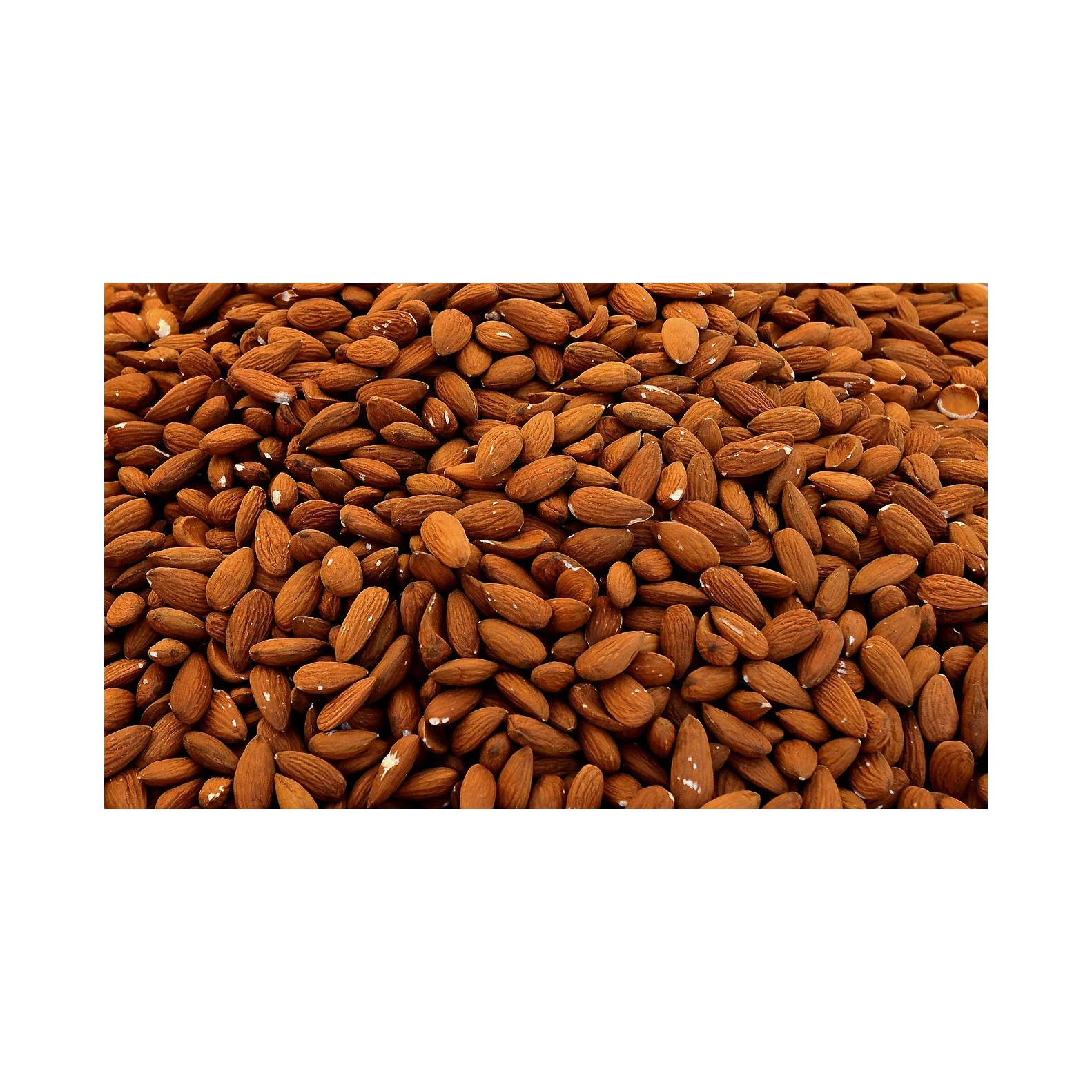 Nuts Raw Cooked Roasted Almonds Cashew Nuts Pistachio Walnut Pine Nuts Kernels Organic Mixed Dried fruits