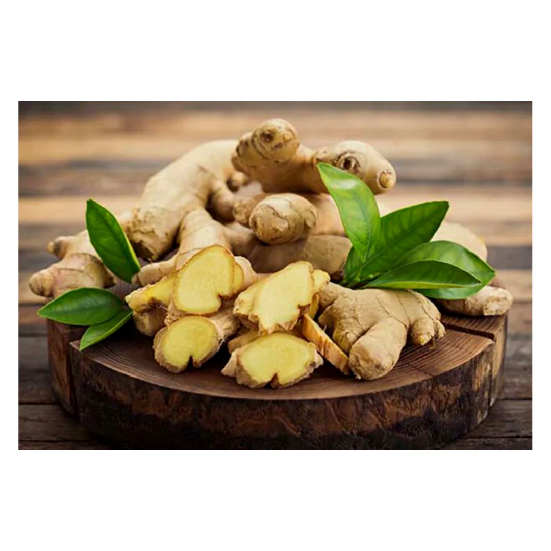 Wholesale Price Light Yellow Fresh Ginger Or Dried Ginger With Natural Spicy Taste Plant Directly
