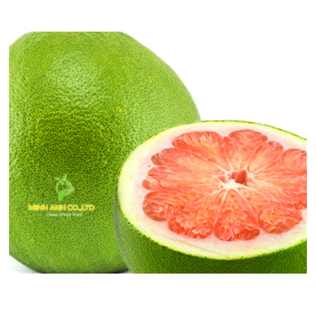 Конкурентоспособная цена, свежий красный малиновый виноград, зеленый виноград, экспорт, качественное происхождение из Вьетнама, сладкий урожай