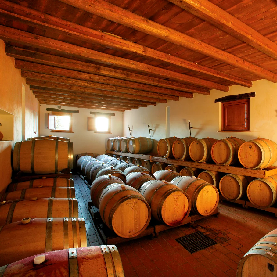 NEW VINTAGE SUMMER OFFER Italian Wine Vigna Petrussa SCHIOPPETTINO DI PREPOTTO & SCHIOPPETTINO RISERVA Doc 75cl for horeca