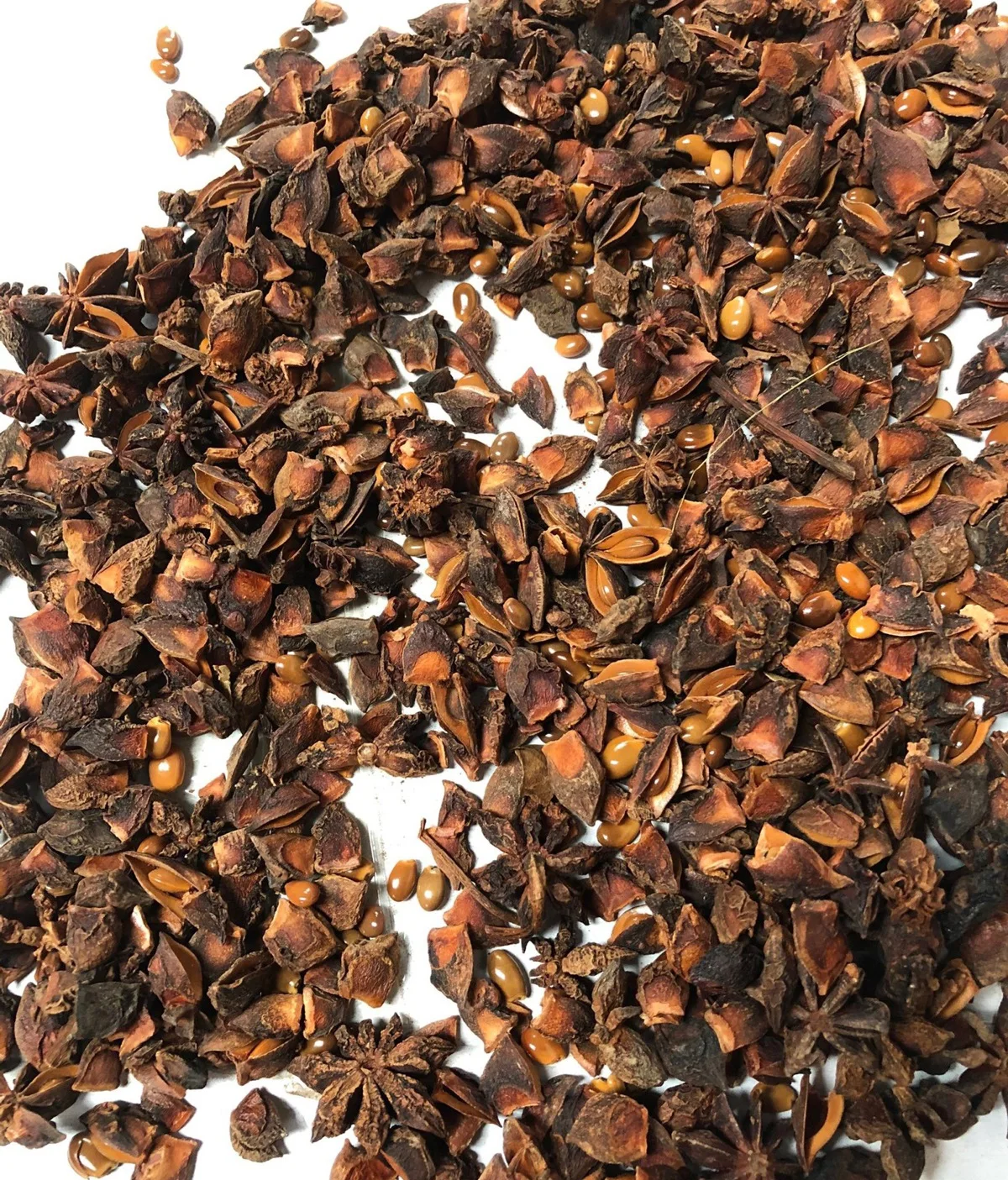 High Quality Dried Star Anise Ground Broken Star Anise Single Spices & Herbs Anise Seed