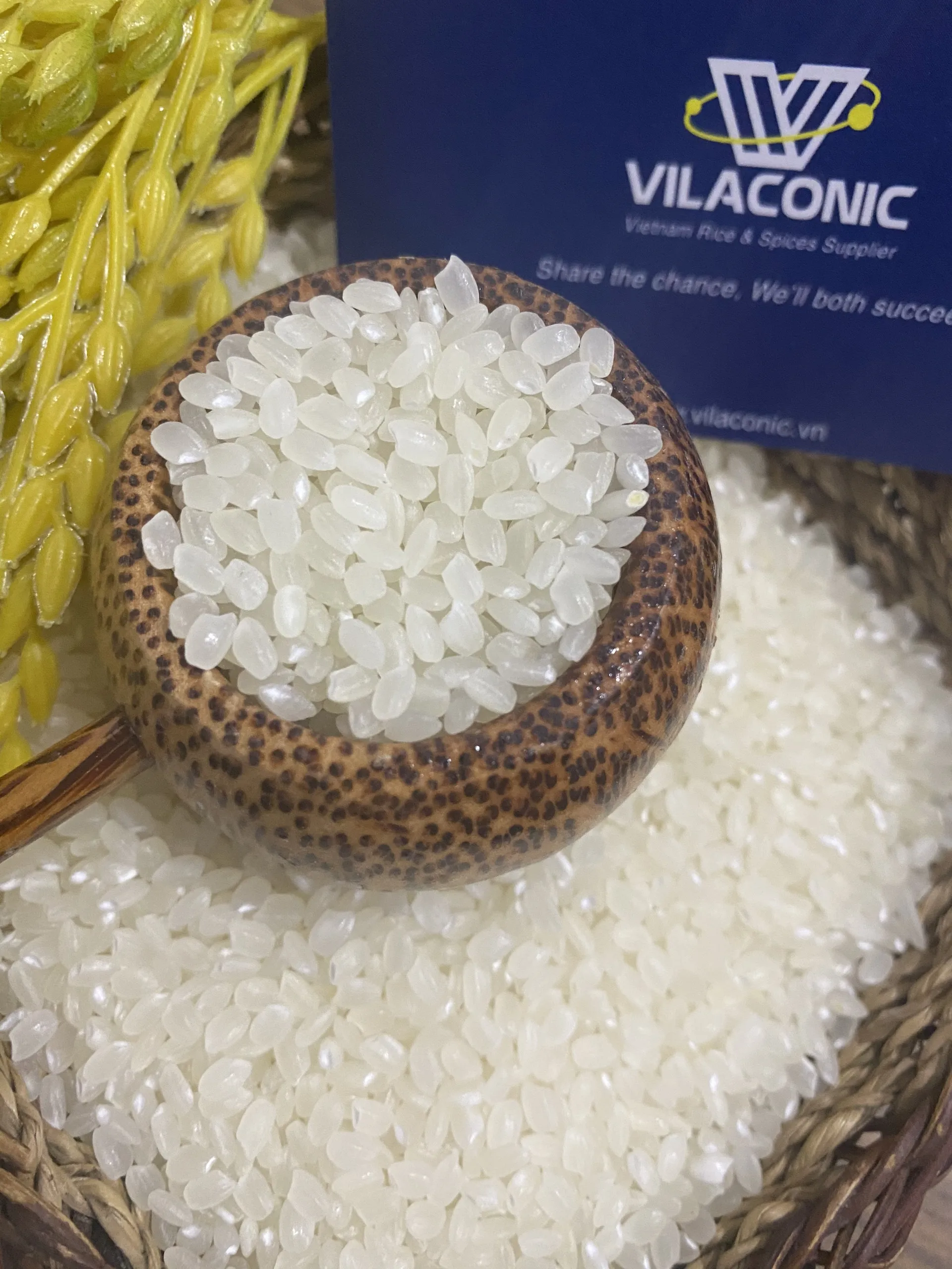 JAPONICA/SUSHI/CALROSE RICE/ROUND RICE 5% BROKEN Best Quality Fresh Specialty White Soft Short Grain Rice In Vietnam ANNA DO +84