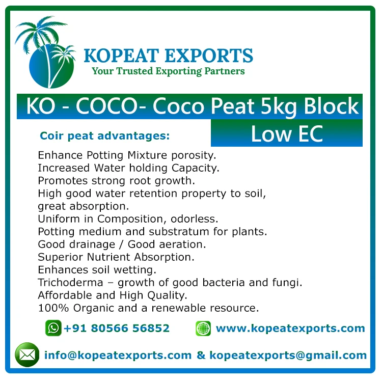 Биоразлагаемый блок CocoCoir Cocopeat для выращивания черники экспорт крупными партиями 5 кг теплица в сельском