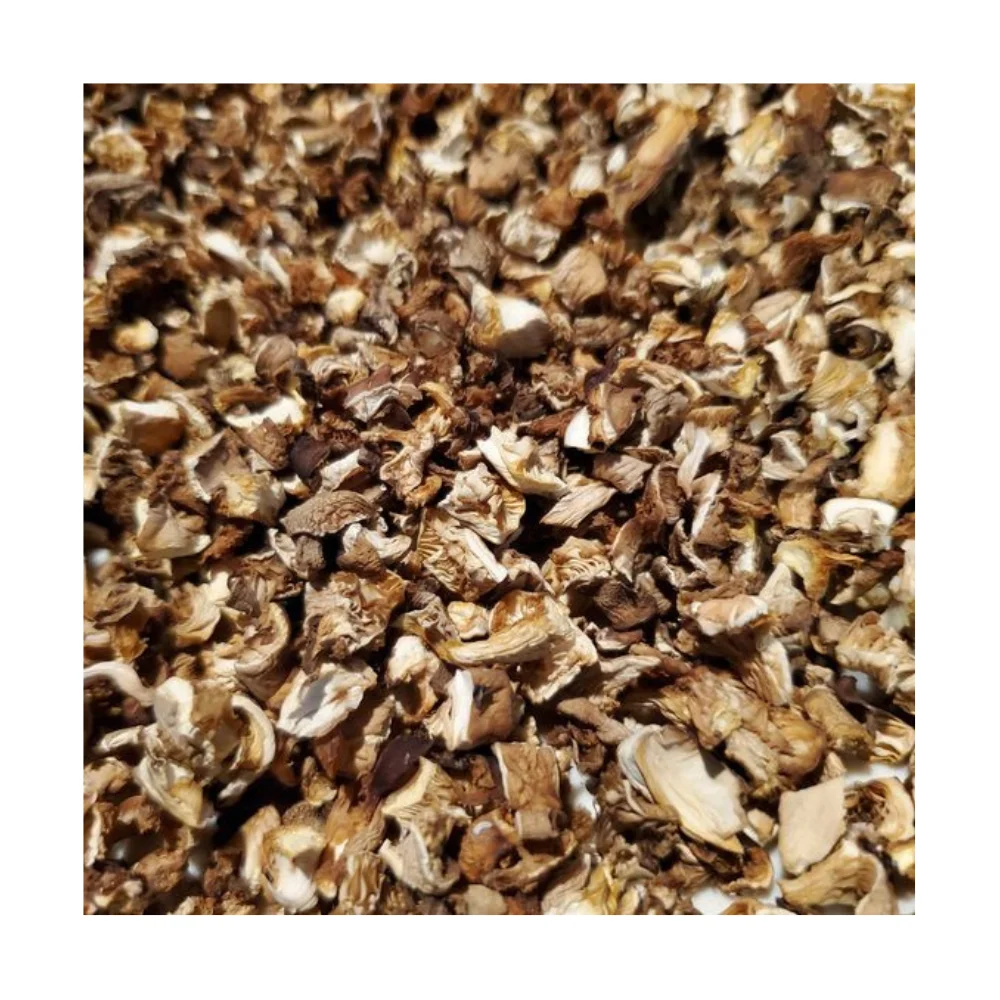 Лучшая скидка, сушеный гриб, оптовая продажа, хорошая цена, сушеный устричный гриб шиитаке во Вьетнаме