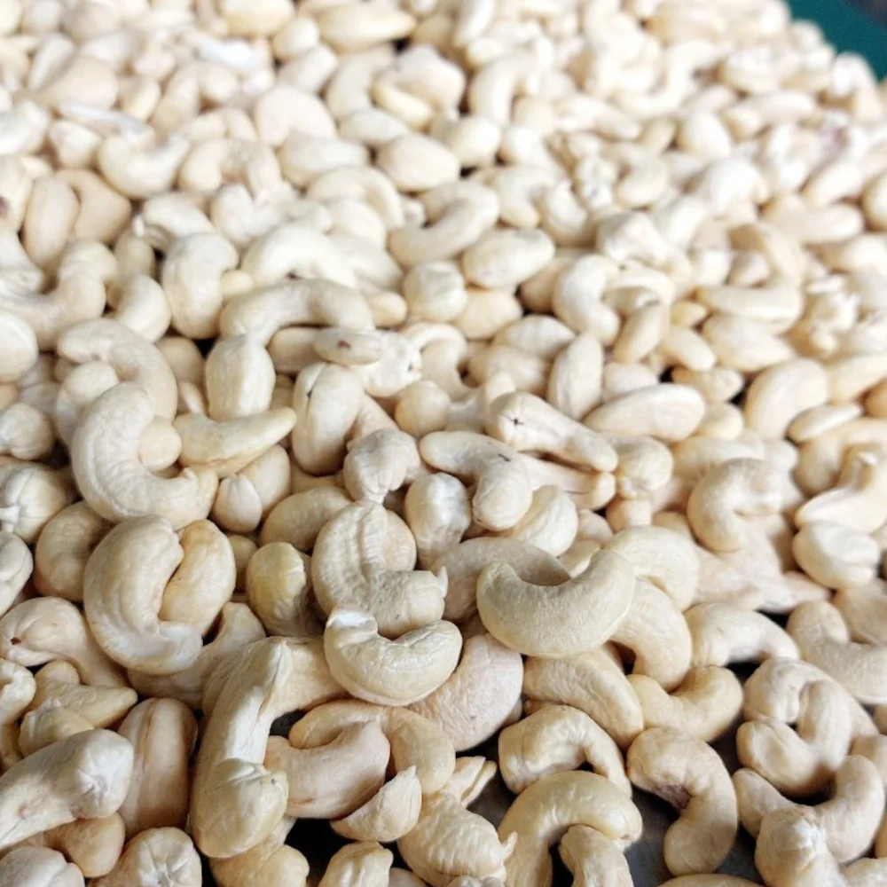 Hot Sale Vietnam Cashew Nut Raw Cashew Nuts Cashew Nuts W320, W240, W180, SK, LP2, LWP Reasonable Price