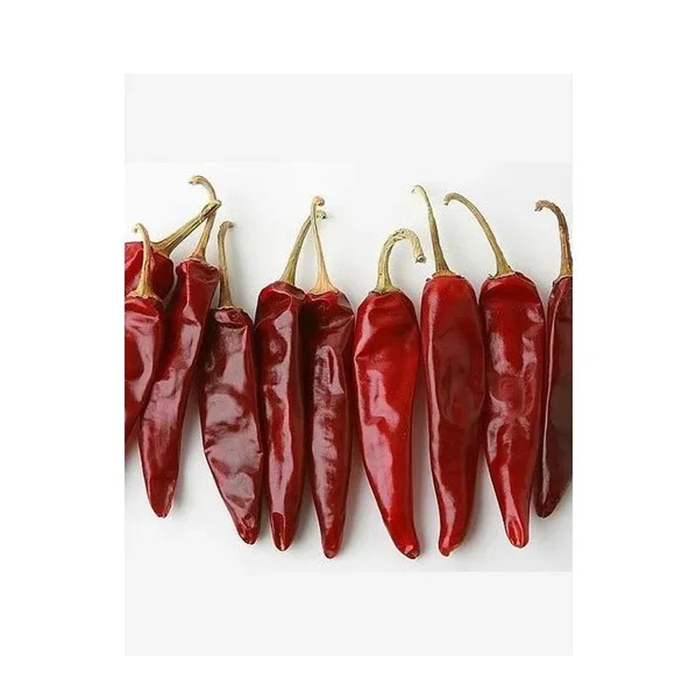 Factory Spice Supplier Wholesale Dried Red Chili Pepper Dried Chilies Kashmiri Chili From India