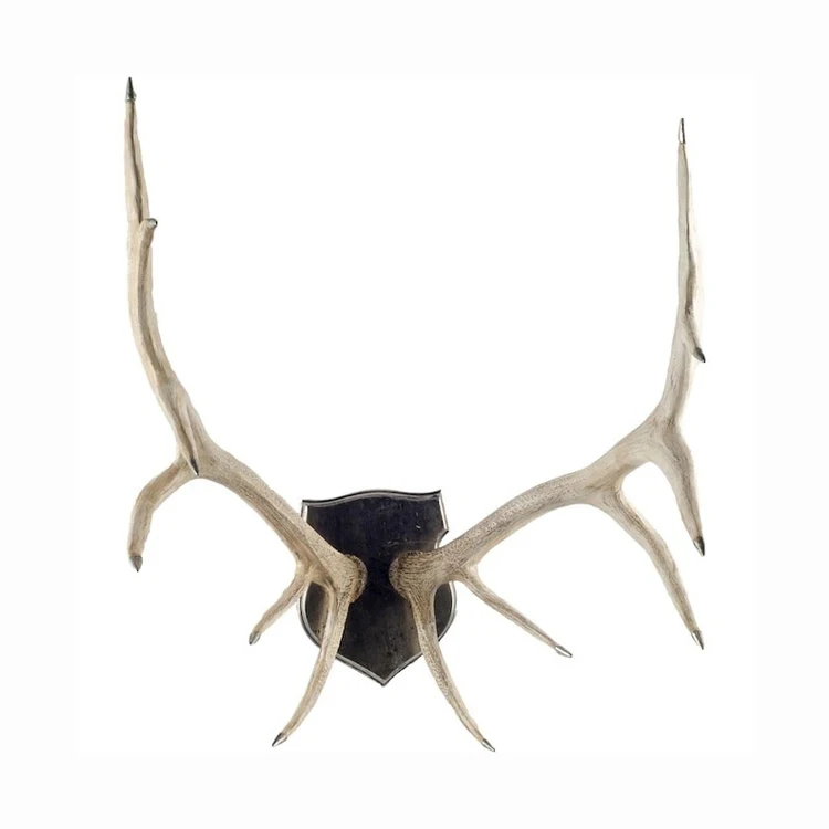Natural Whole Red Deer Antlers