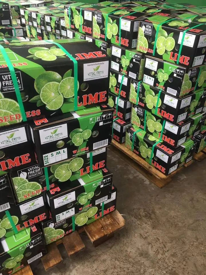 Лучший качественный свежий лимон: без косточек лайм оптом дешевая цена от вьетнамской фабрики лидер продаж.