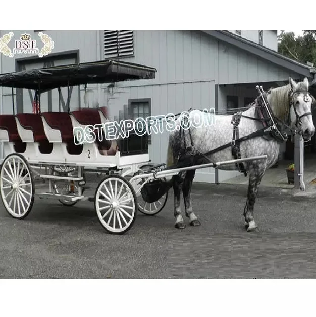 Стильные кареты лимузина, тянутые лошадью, экспортеры Vis A Vis, каретка для лимузина, новейшая каретка на 6 мест