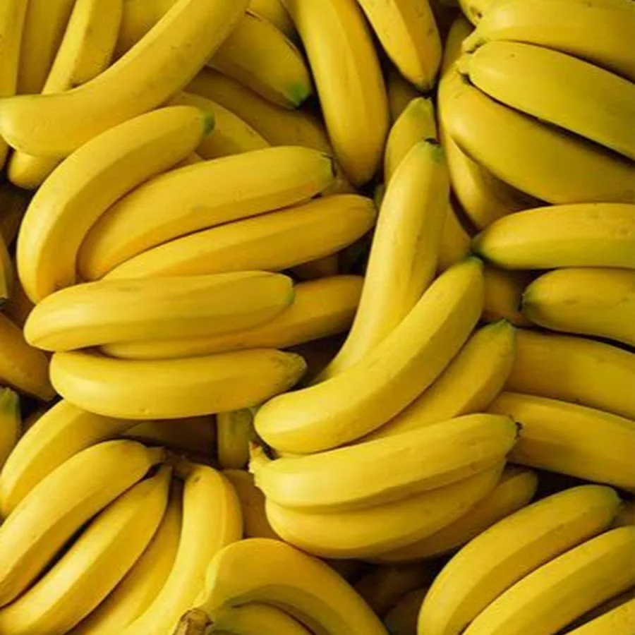 SWEET CAVENDISH BANANAS WITH THE BEST PRICE/quality cavendish banana