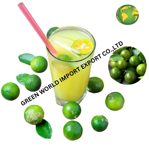 FROZEN CALAMANSI PUREE FROM VIET NAM - HEALTHY PUREE WITH THE HIGHEST QUALITY AT A COMPETITIVE PRICE - PROMPTLY DELIVERY
