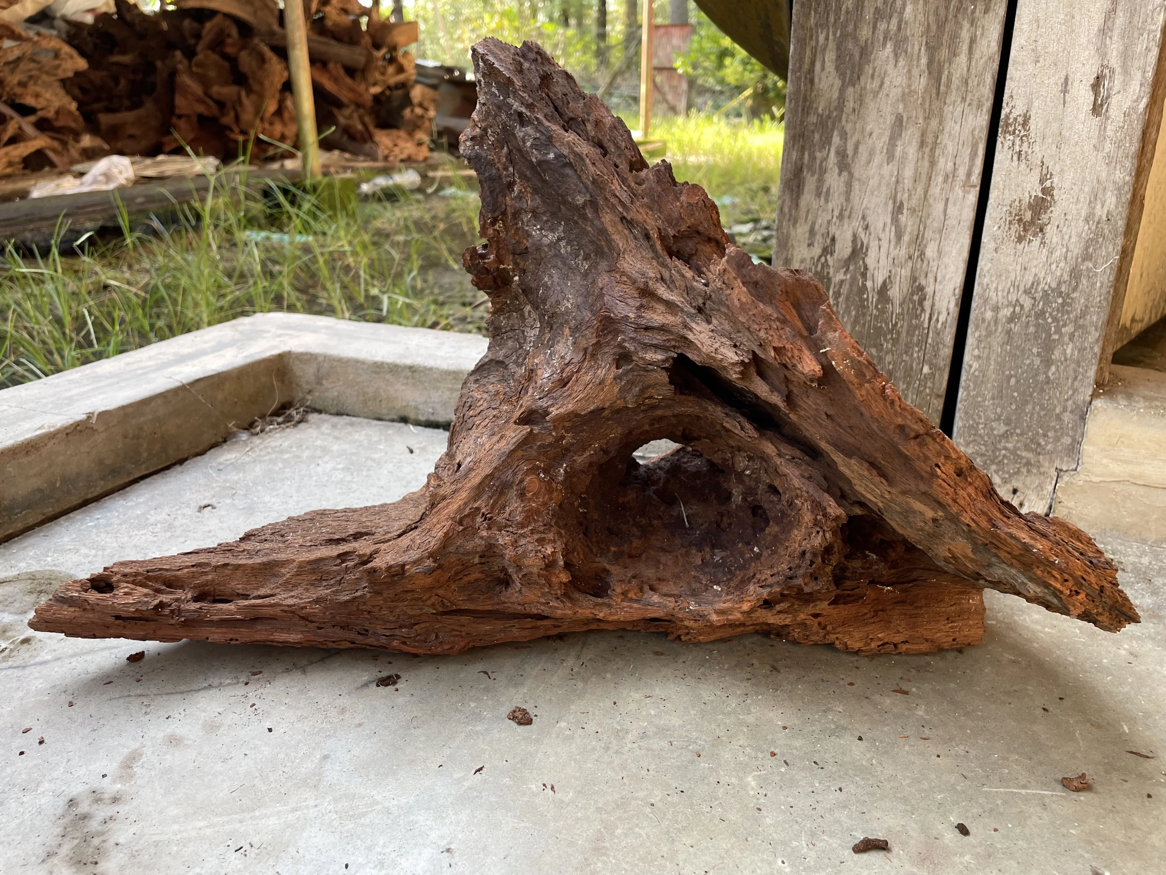 Top Quality Aquarium Accessories Malaysia Driftwood Natural Mangrove Wood For House Bonsai And Office Aquarium Decoration Long