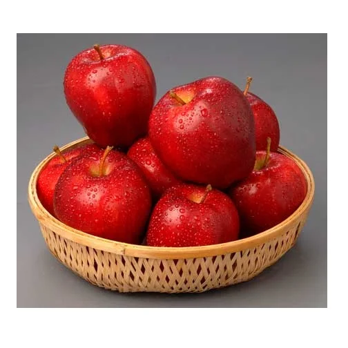 High Quality Export Fresh Red Fuji Apple Delicious Gala and Green Apple Variety
