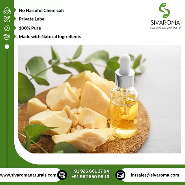 World Wide Wholesale Export 100% Premium Quality Natural Cocoa Butter Essential Oil by Pure Extraction Carrier Oils Manufacturer