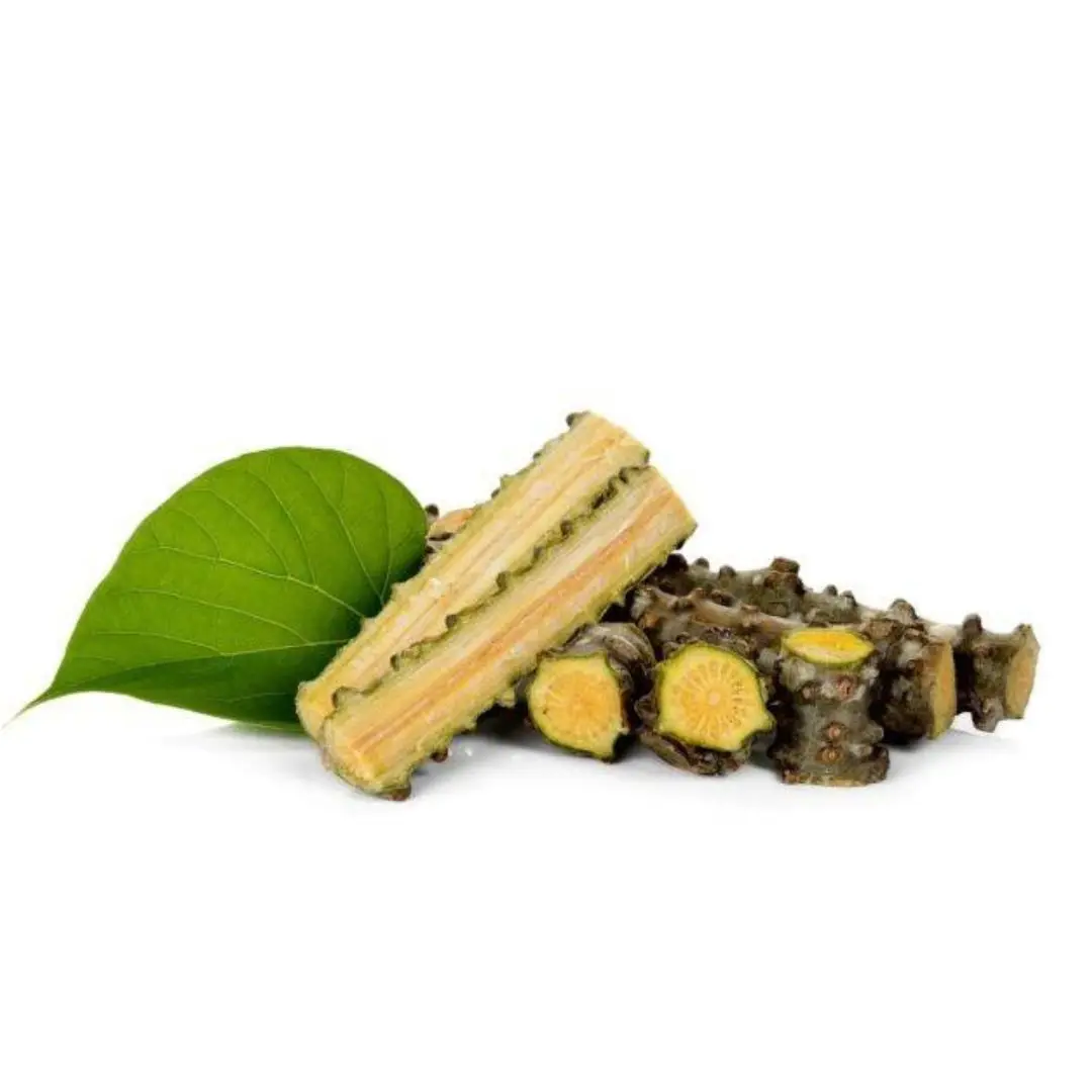 2024 Latest Arrival 100% Organic Light Brown Color Herbal Grade Plant Extract Guduchi in Whole and Powder Form