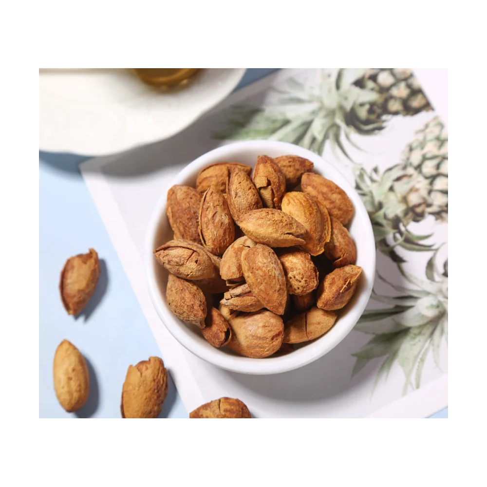Dried top quality sweet bulk apricot kernel with shell without shell as your needs