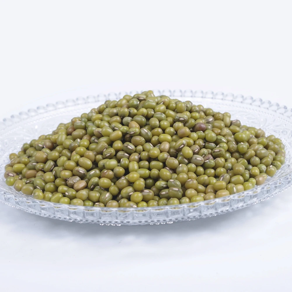 Buy Wholesale Green Mung Beans Fresh Dried Organic High Quality Green Gram Moong Dal Low Price In Stock For Sale