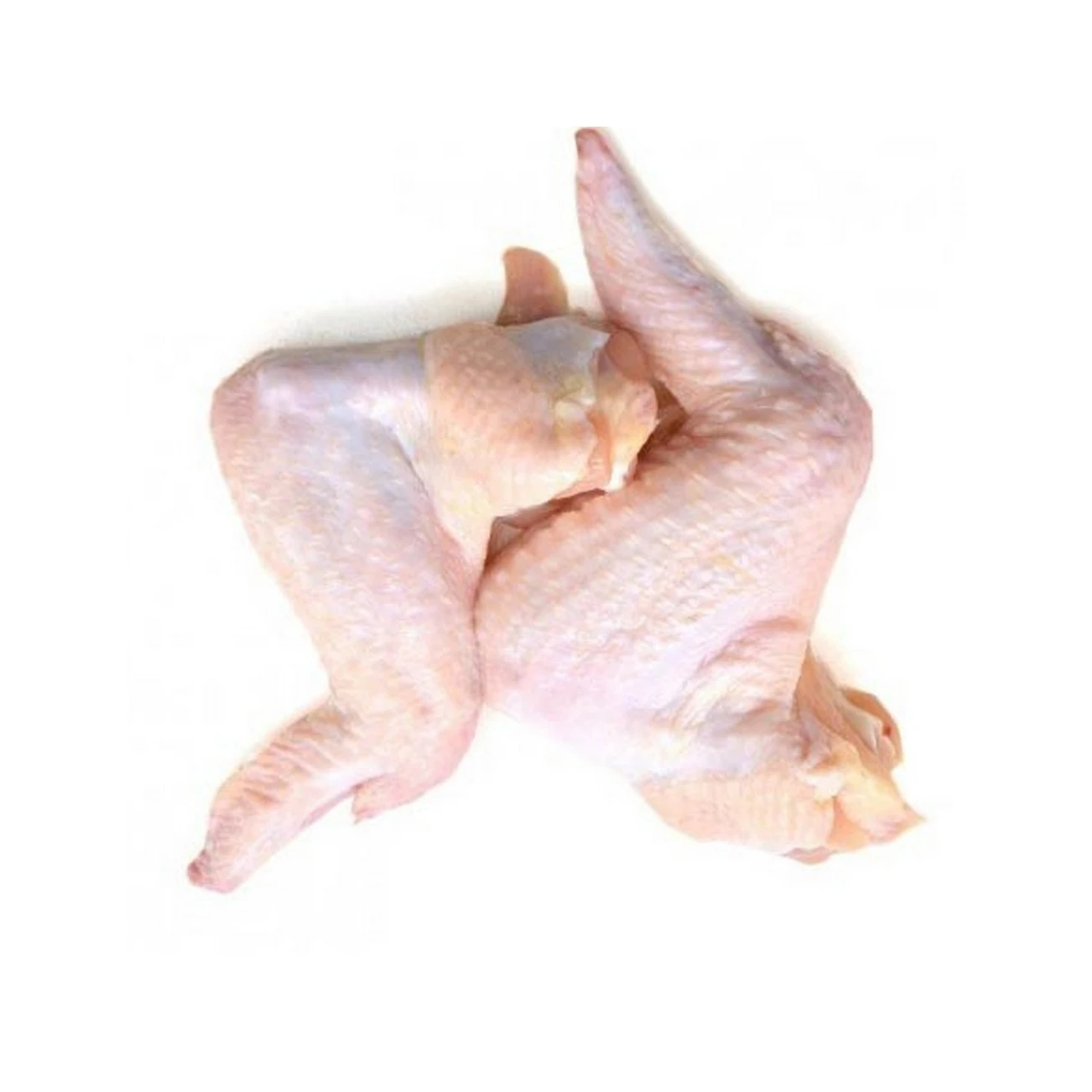 Hot Sales Chicken Wings Wholesale Prices frozen chicken wings 3 joint frozen chicken mid joint wing In Low Price