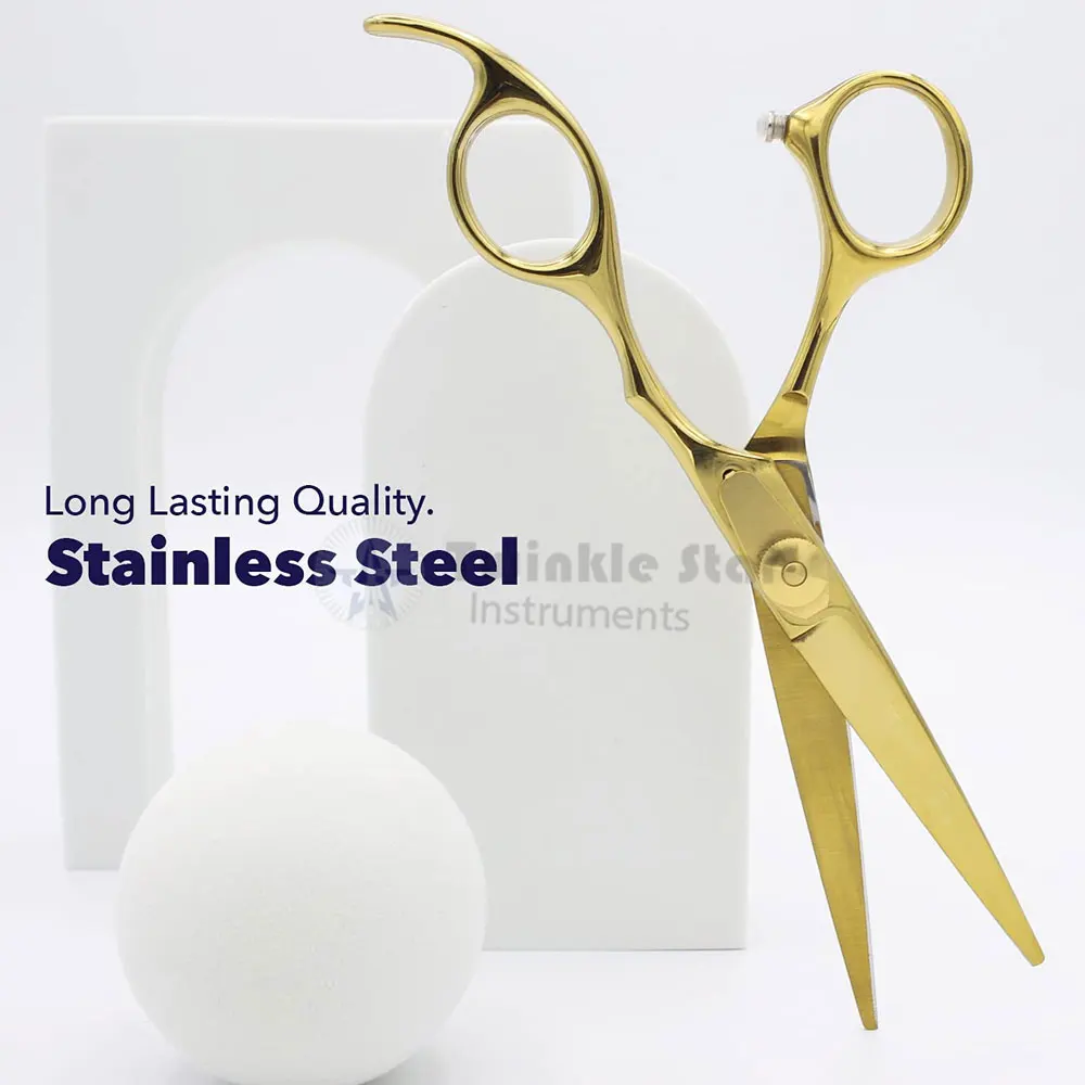 Professional Hair Scissors 6 Inch Hairdressing Scissors for Salon and Home Japan Silver HRC OEM Customised Steel Stainless Style