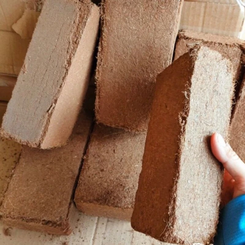 Peat planting soil made from coconut fiber, wholesale price from factory in Vietnam