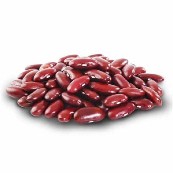 Top Quality Dried Red Kidney Beans