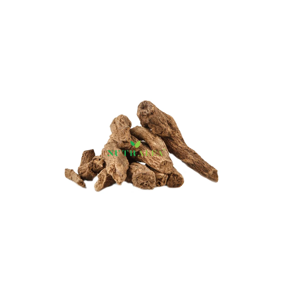 Costus Root Sweet Herb Custus Best Quality Kushtha Saussurea lappa in Bulk and Small Quantity