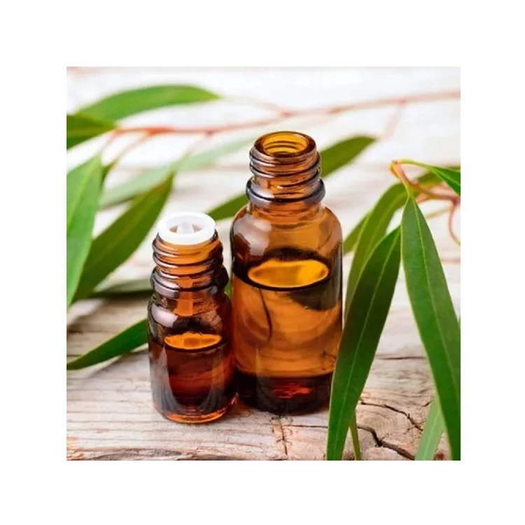 Wide Range of High Quality Best Selling Perfumery & Aromatherapy Use 100% Pure Natural Eucalyptol Essential Oil from India