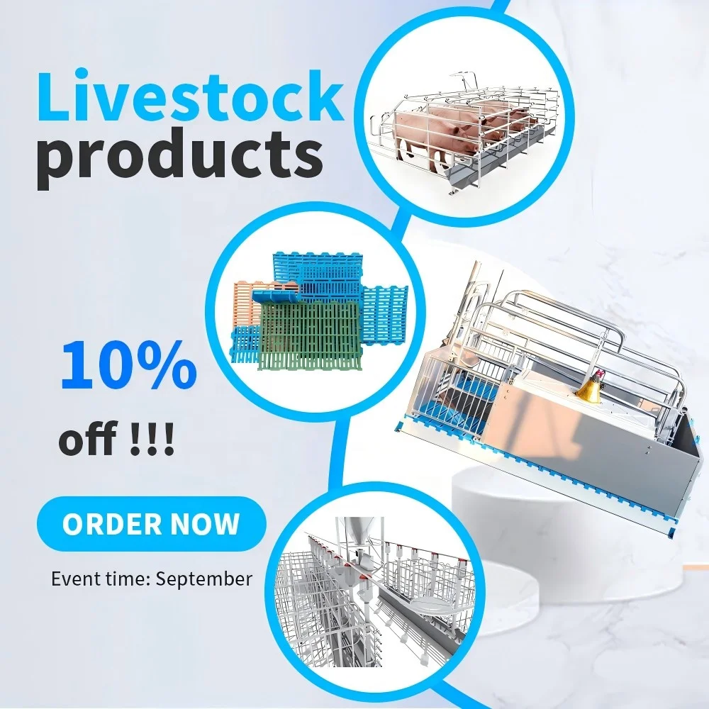 2024 new product  pig gestation pen hot sell sow gestation cages for pig high burden farming equipment