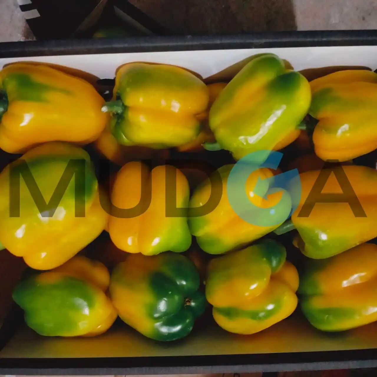 Свежий Египетский Перцовый пинцет, свежий пинцет, Египетский высококачественный свежий сладкий перец, дешевая цена, 100% натуральный