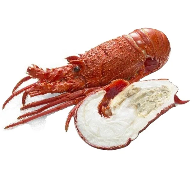 Good Price Frozen Sea Food Lobsters Lobsters Tai Canadian Lobsters