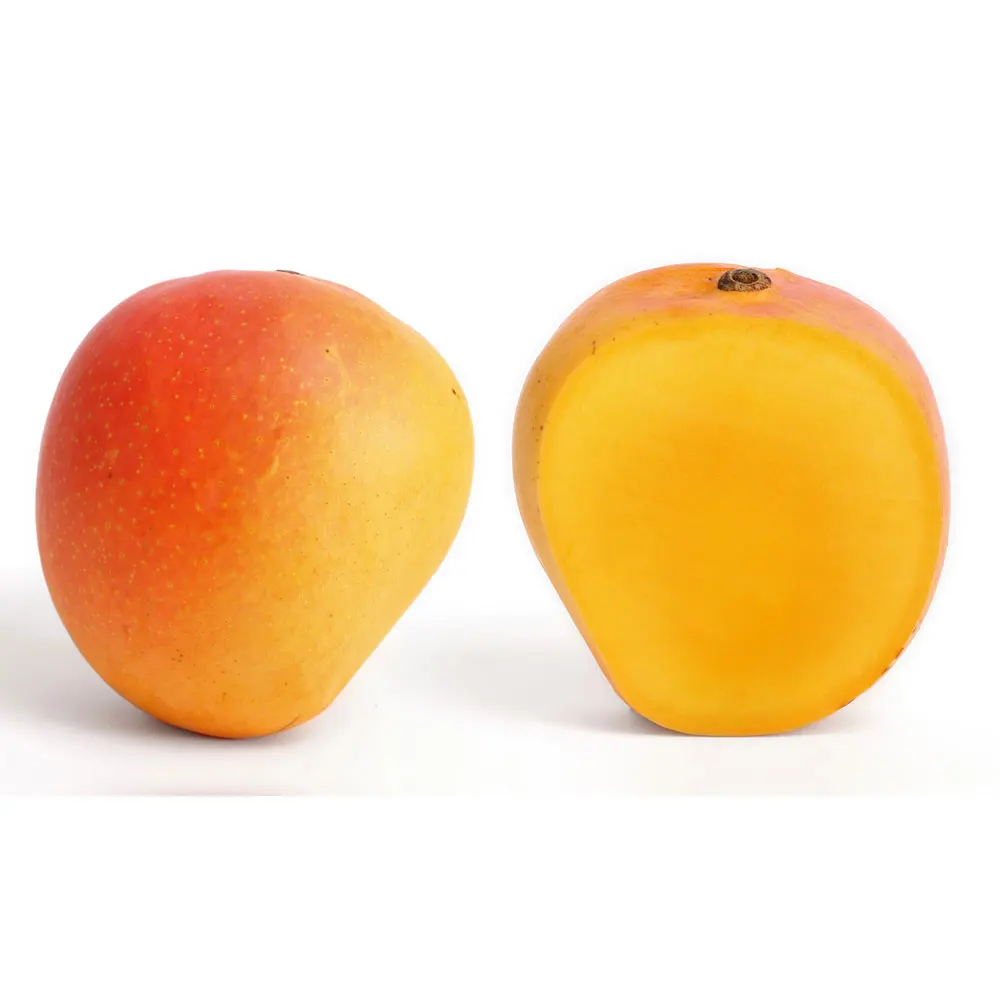 Export Quality Cultivar Mango Pakistani Suppliers Cultivar Mango 100% Natural Cultivar Mango