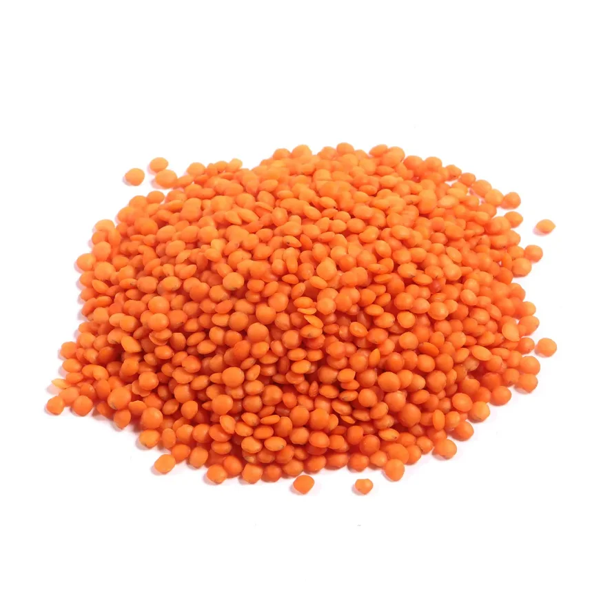 Organic Premium Grade Split Red Lentils Dried Chana Dal for Food Use Green Lentils Export Bulk