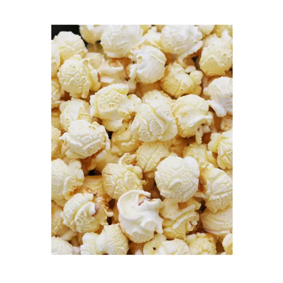 Pop Corn Maize/Popcorn Maize kernel Popcorn Butterfly and Mushroom Types Cheap price