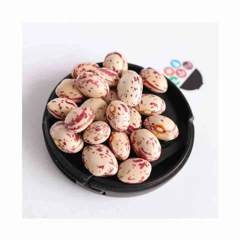 Wholesale Cranberry Jugo Red Speckled Kidney Beans sugar pinto beans