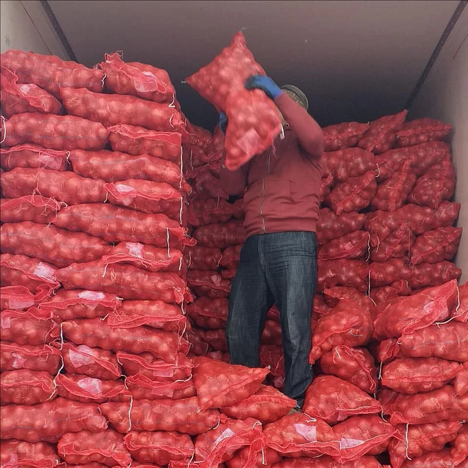 Fresh Vegetables Natural Onion Available