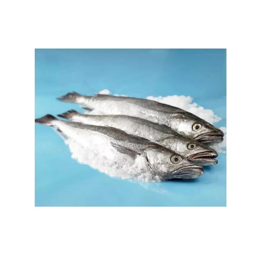 Available Stock Of Frozen Hake Fish/ Frozen Hake Fillet Fish